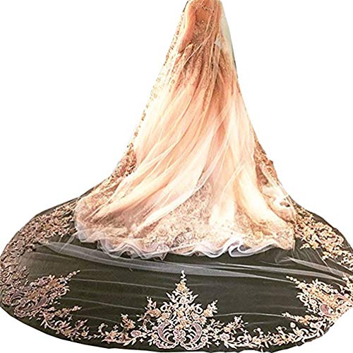Newdeve Champagne 3M 1T Bridal Veils Lace Edge with Free Comb, Ivory, Large