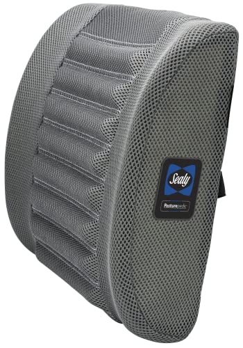 Sealy Memory Foam Cushion