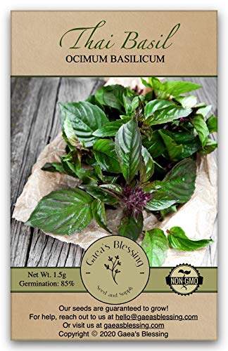 Gaea's Blessing Thai Basil Seeds - Non-GMO - with Easy to Follow Planting Instructions - Open-Pollinated Heirloom High Yield Heirloom 85% Germination Rate