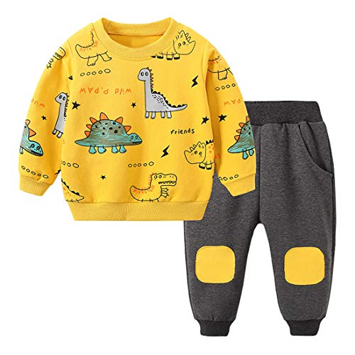 Avidqueen Toddler Baby Boy Clothing Sets Little Dinosaur Printed Long Sleeve Tops and Pants Kids 2pcs Outfits (1-Yellow, 2-3T)