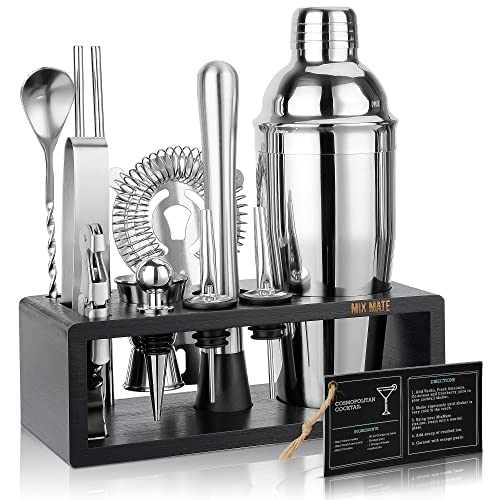Mixology Bartender Kit with Stand - 15 Piece Bar Tool Set, Silver Bar Set Cocktail Shaker Set for Drink Mixing - Includes Martini Shaker, Jigger, Strainer, Bar Mixer Spoon, Tongs, Opener | Gift Idea