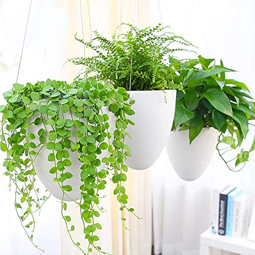 Sungmor Unique Eggshell Self Watering Hanging Planters, 3PC Modern Simple White 7.2' Dia Large Waterself Hanging Pots for Plants, Indoor Outdoor Ceiling Hanging Baskets Flowerpot Wicking Planter Pots