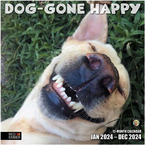 RED EMBER Dog-Gone Happy 2024 Hangable Monthly Wall Calendar | 12' x 24' Open | Thick & Sturdy Paper | Giftable | Cute Dog | Funny Secret Santa White Elephant Yankee Swap | Go Dog, Go