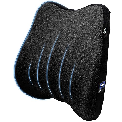 Sealy - Lumbar Support Cushion, Soft Plush Comfort & 3D Spine Support for Home, Office, and Travel - Enhance Your Sitting Experience and Promote Proper Posture, Black