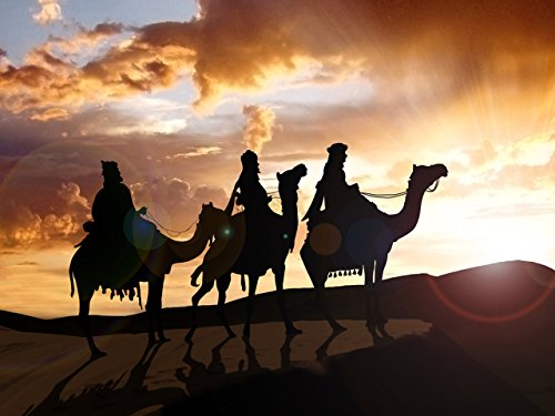 From Camels to Stars in the Middle East