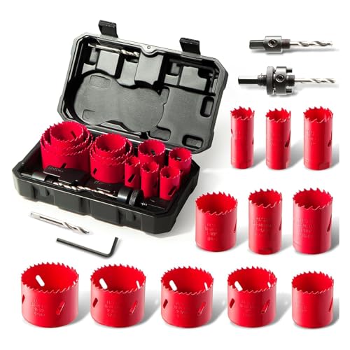 Bi-Metal Hole Saw Kit, HYCHIKA 17 Pcs High Speed Steel 3/4' to 2-1/2' Hole Saw Set in Case with Mandrels, Hole Saw Bit, Hole Saw for Thin Metal, Hard Wood, Drilling PVC Board, and Plastic Plate