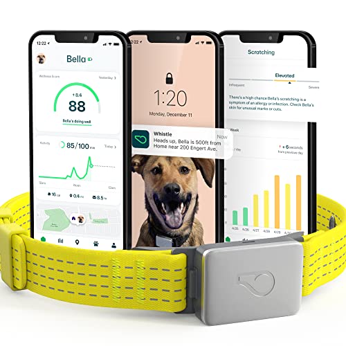 Whistle Switch GPS + Health + Fitness Smart Dog Collar, 24/7 Dog GPS Tracker Plus Dog Health & Fitness Monitor, Sleek Design, Waterproof, 2 Rechargeable Batteries, for Dogs 5lbs and up (Yellow) XS/S