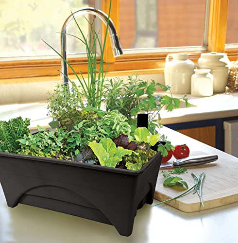 Emsco Group Start Pickin' Raised Bed Grow Box – Self Watering and Improved Aeration – Starter Box or Small Herb Garden Growing - 10' Bed - 12x20 Growing Area - Charcoal