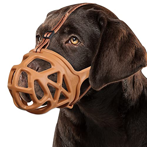 Dog Muzzle, Basket Muzzle for Biting, Chewing and Scavenging, Humane Cage Mouth Cover, Perfect for Grooming and Training Medium, Large Aggressive Reactive Dogs