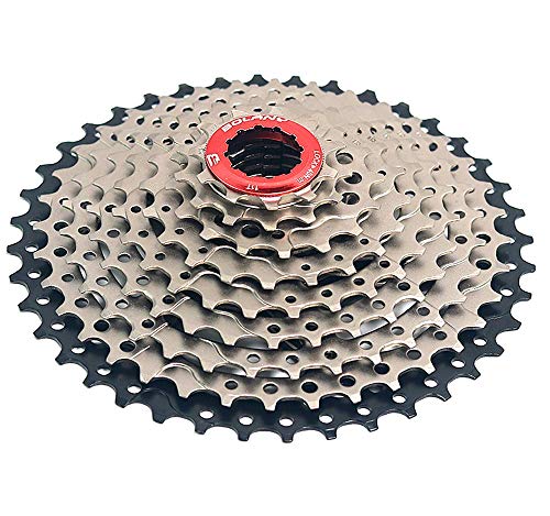 BOLANY 9 Speed Cassette，MTB Cassette 9 Speed， Fit for Mountain Bike, Road Bicycle, MTB, SRAM, Shimano (Silver/Black 11-40T)