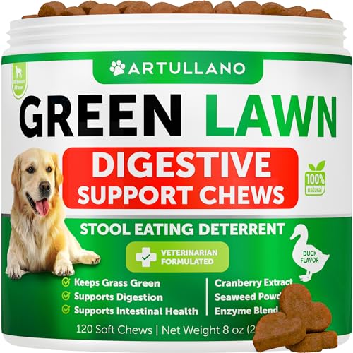 Grass Burn Spot Chews for Dogs - Dog Pee Lawn Spot Saver Caused by Dog Urine - Grass Treatment Rocks - Cranberry + Digestive Enzymes - Dog Urine Neutralizer for Lawn