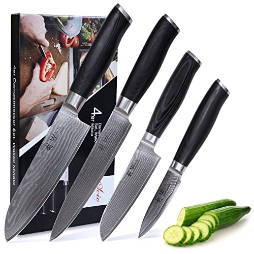 Wakoli Mikata 4-pcs Damascus Knife Set made of 67 Layers Japanese Damascus Steel with VG10 Core I Professional Kitchen Knives, Chef Knife Set with Micarta Handle