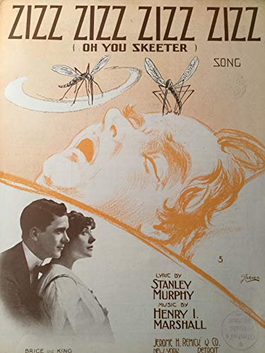 Zizz Zizz Zizz Zizz (Oh You Skeeter) Song