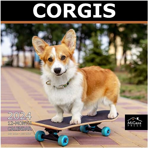 MICASA Corgis 2024 Hangable Monthly Wall Calendar | 12' x 24' Open | Thick & Sturdy Paper | Giftable | Cute Dog | Happy Pups