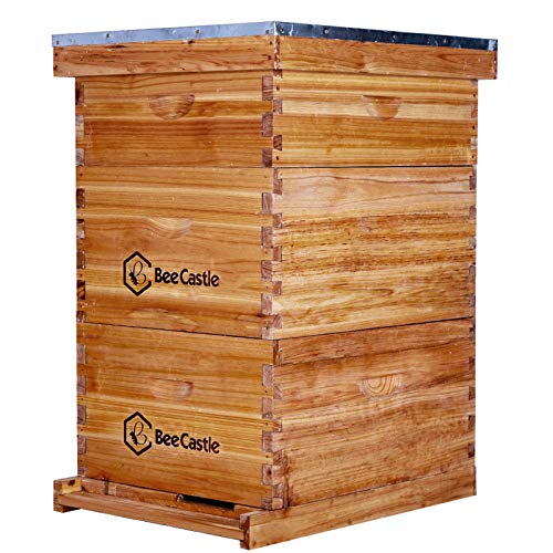 BeeCastle 10 Frame Langstroth Bee Hive Coated with 100% Beeswax Includes Beehive Frames and Waxed Foundations (2 Deep Boxes & 1 Medium Box)