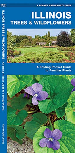 Illinois Trees & Wildflowers: A Folding Pocket Guide to Familiar Plants (Wildlife and Nature Identification)