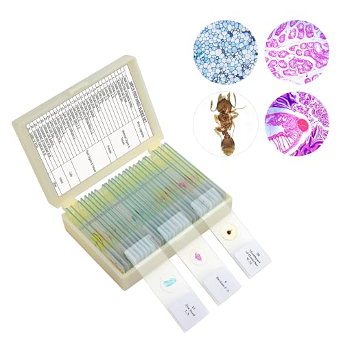 30 Microscope Slides with Specimens for Kids, Prepared Microscope Slides for Kids, Glass Prepared Slides for Microscope Accessories,Biological Science Kit for Kids，for All Types of Microscopes