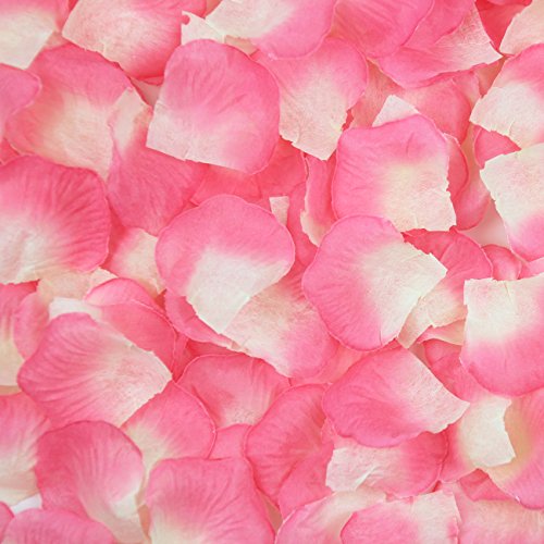 JUYO VONSAN 1000pcs Rose Petals Wedding Odorless Flowers Petals Favors for You Special Wedding (Pink Plus White)