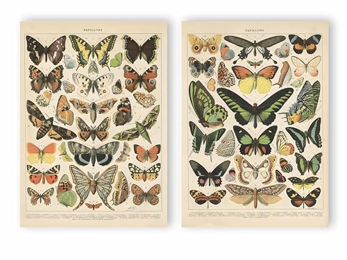 Zdxftc 2 Pack Vintage Butterfly Poster,Rustic Butterfly Art Prints, Retro French Style Canvas Wall Decor Art Painting - Unframed(11 x 14inch)