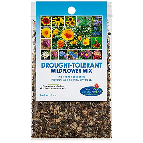 Drought Resistant Wildflower Seeds Open-Pollinated Bulk Flower Seed Mix for Beautiful Perennial, Annual Garden Flowers - No Fillers - 1 oz Packet
