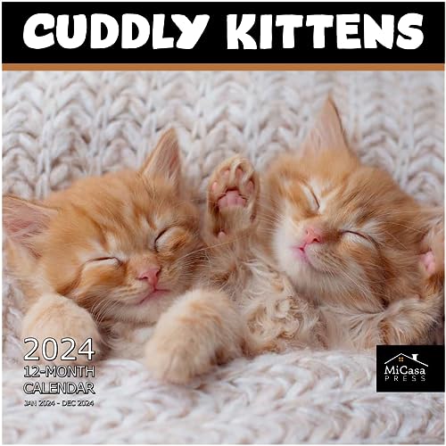 MICASA Cuddly Kittens 2024 Hangable Monthly Wall Calendar | 12' x 24' Open | Thick & Sturdy Paper | Giftable | Teen Kids Cute Cat | 12 Months of AWWWs