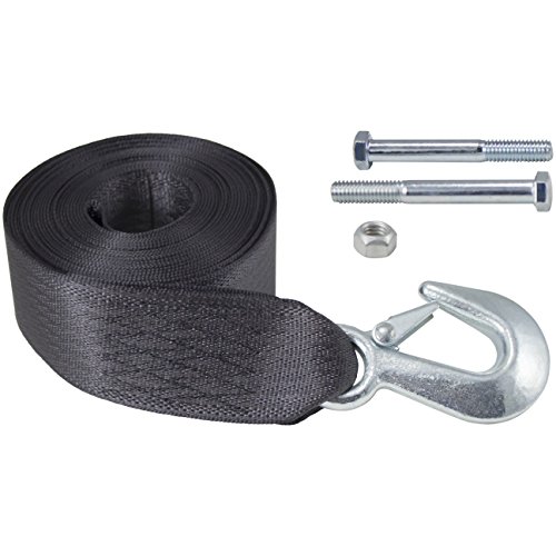 GOLDENROD Dutton-Lainson 6249 20-ft Winch Strap with Hook 4000 lb, 2' x 20', Color May Vary