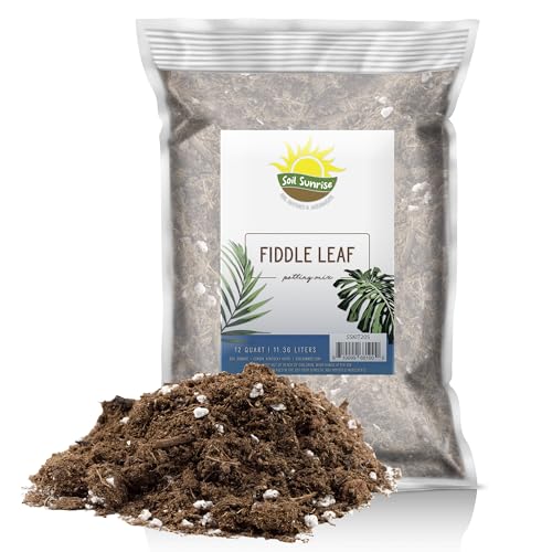 Premium Fiddle Leaf Fig Tree Soil (12 Quarts) - Expert Formula for Vibrant Growth - Nutrient-Rich Potting Mix, Specifically Designed for Healthy Indoor, Outdoor, and Potted Fiddle Fig Plants