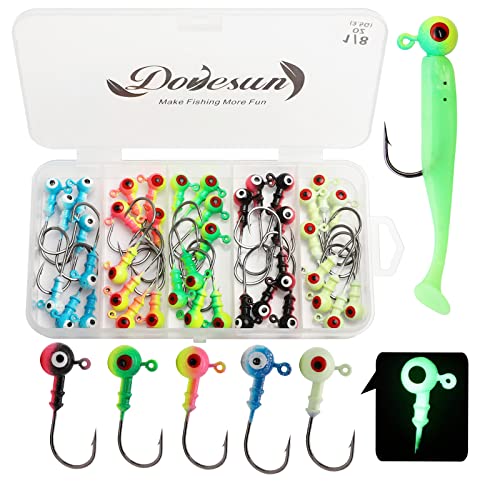 Dovesun Jig Heads for Fishing, Painted Jigheads with 3D Eye Ball Glowing Walleye | Bass | Crappie jigs 1/8oz 40pcs