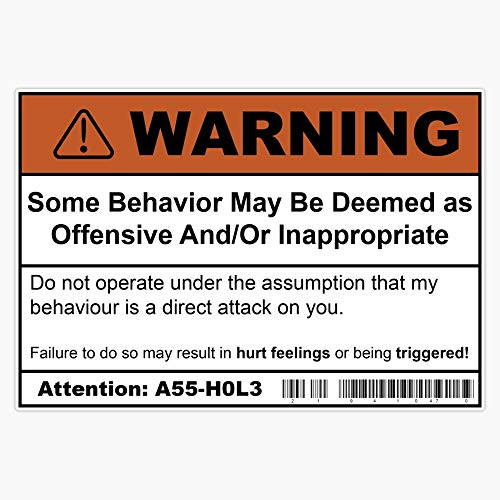 Warning: Offensive Behaviour Vinyl Waterproof Sticker Decal Car Laptop Wall Window Bumper Sticker 5'