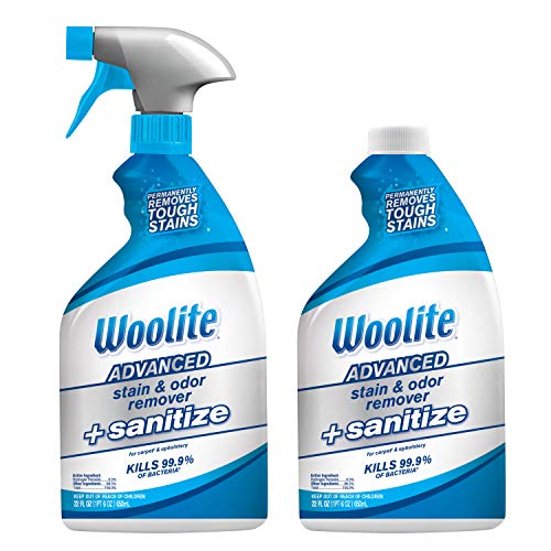 Woolite Advanced Stain & Stench Remover + Sanitize, 22floz (2pk)