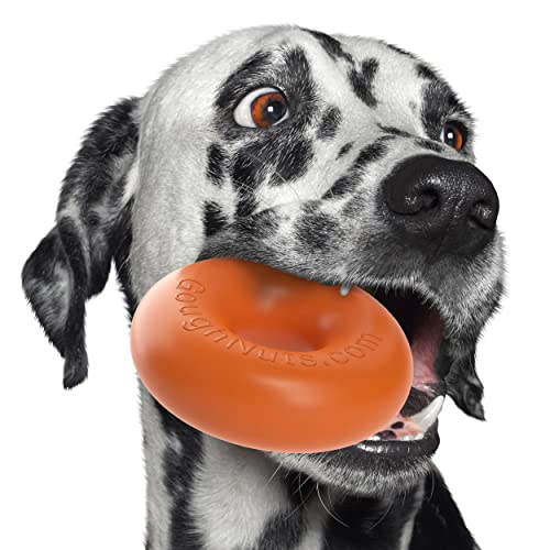 Goughnuts — Dog Toys for Aggressive Chewers | Virtually Indestructible Dog Toys for Medium Breeds Such as Pit Bulls | Heavy Duty Dog Toy | Orange