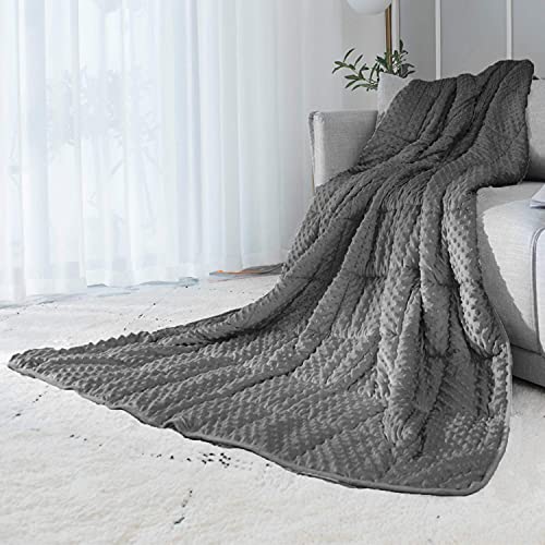 ALANSMA Reversible Weighted Blanket for All Season, Luxury Velvet, Warm and Cool, Adult Kids 15Lb Weighted Blanket, Enjoy Sleeping Anywhere(Grey,15Lb)