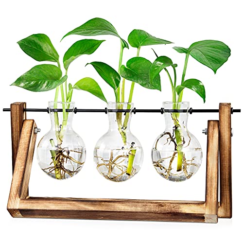 Waytoeast Plant Propagation Stations, Desktop Air Terrarium with Wooden Stand Planters Glass for Hydroponics Office Home Gardening Gifts for Women - 3 Bulb Vase