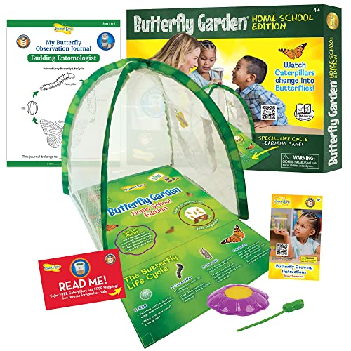 Insect Lore - Butterfly Growing Kit - Clear Front Facing Viewing Panel - Pre-Paid Voucher to Redeem Caterpillars Later – Life Science & STEM Education – Butterfly Science Kit, Large