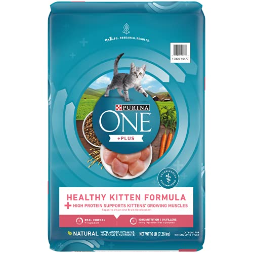 Purina ONE High Protein, Natural Dry Kitten Food, +Plus Healthy Kitten Formula - 16 lb. Bag