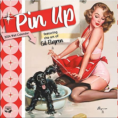 Turner Photographic Pin Up Photo Mini Wall Calendar (24998950016)