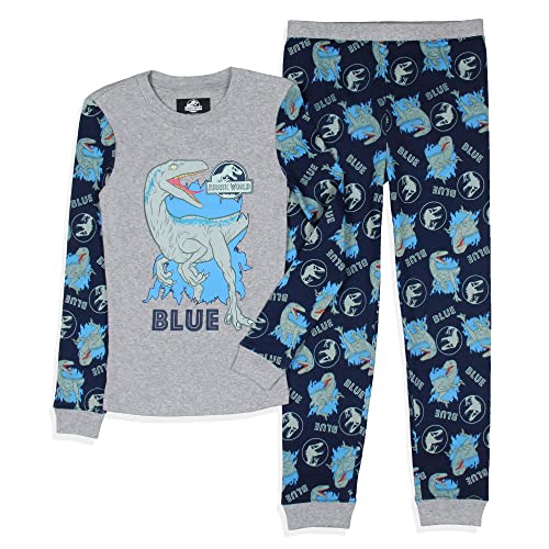 INTIMO Jurassic World Boys' Movie Film Park Logo Blue Tight Fit Sleep Pajama Set (8)