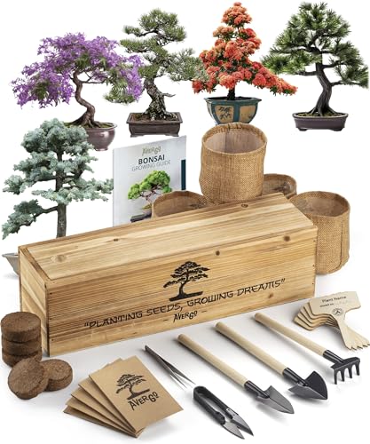 AVERGO Bonsai Tree Kit – 5X Unique Japanese Bonzai Trees | Complete Indoor Starter Kit for Growing Plants with Bonsai Seeds, Tools & Planters – Gardening Gifts for Women & Men