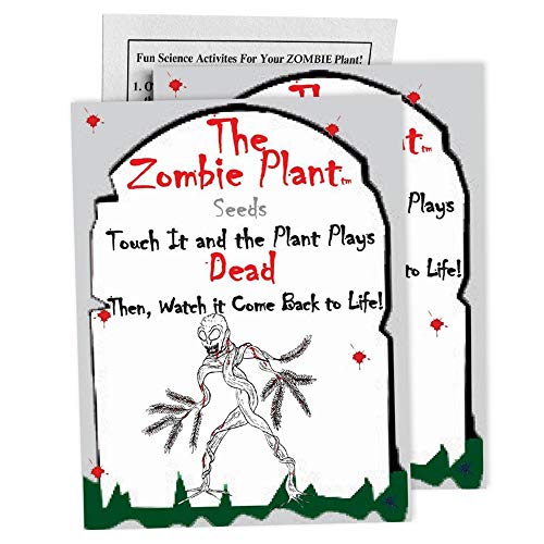 Zombie Plant Seed Packets (2) Grow Your Real Live Zombie Plant. Watch it 'Play Dead' When Touched! Plant Zombie Seeds for a Fun Plant Activity and an Interactive Indoor Experience.