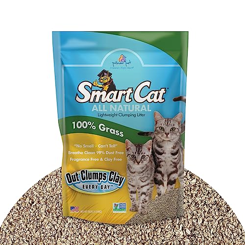 SmartCat All Natural Clumping Cat Litter, 10 Pound (160oz 1 Pack) - Alternative to Clay and Pellet Litter - Chemical and 99% Dust Free - Unscented and Lightweight