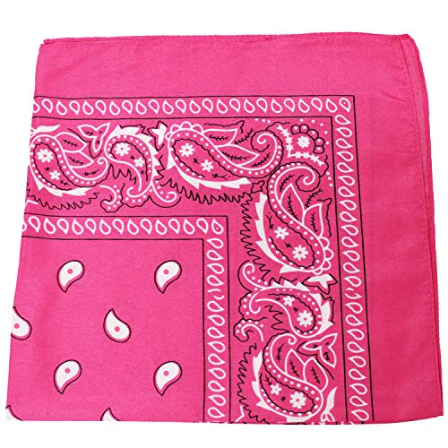 Pack of 12 Paisley Cotton Bandanas Novelty Headwraps - Dozen Available in Many