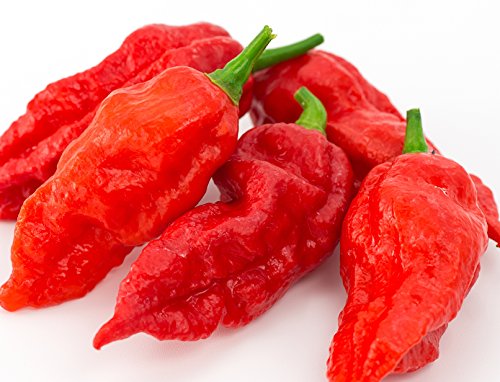Ghost Pepper Seeds- 25+'Bhut Jolokia' by Ohio Heirloom Seeds