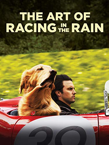 The Art of Racing in the Rain