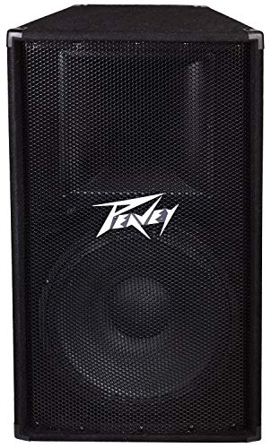 Peavey PV 115 2-Way Speaker