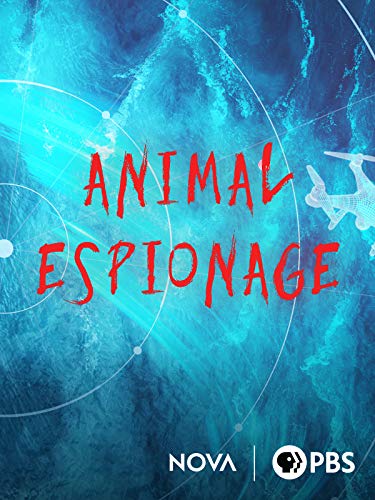 Animal Espionage