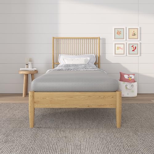 NapQueen 5 Inch, Twin Mattress, Memory Foam Grey Mattress - Medium Feel - CertiPUR-US Certified - Twin Bed Mattress in a Box, Breathable Soft Fabric Cover