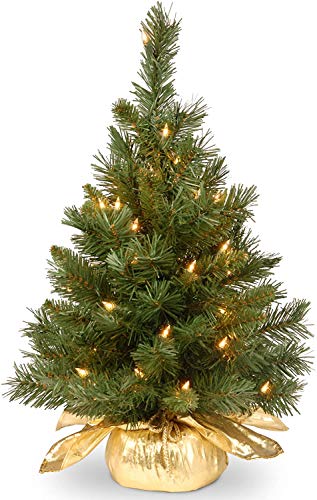 National Tree Company Pre-lit Artificial Mini Christmas Tree | Includes Small Lights and Cloth Bag Base | Majestic Fir - 2 ft