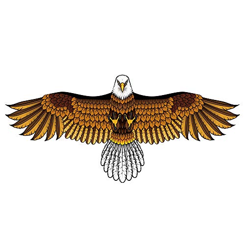 Eagle Kite for Kids Adults with 60' Wingspan