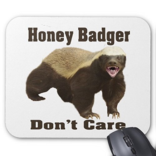 Maliyna Honey Badger Don't Care is a cute meme Mouse Pad 9x7 Inch