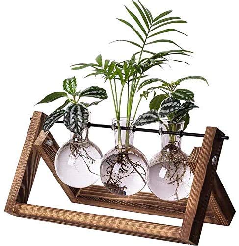 Kingbuy Plant Propagation Stations Terrarium Glass Desktop Planter with Retro Wooden Stand 3 Bulb Vases for Hydroponics Indoor Office Desk Home Decor, Plant Holder Lover Gifts for Women